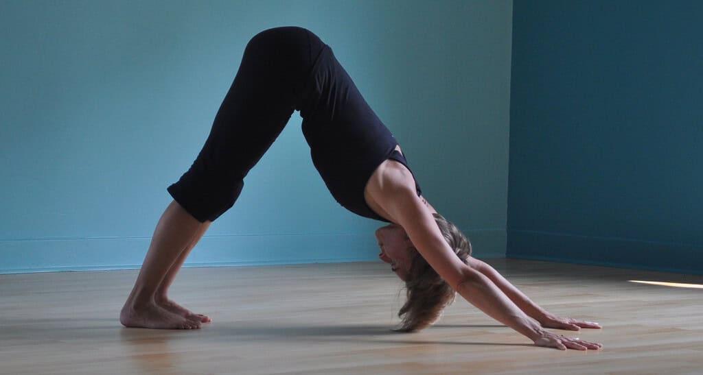 Veggie Blog » Blog Archive Adho mukha svanasana,Yoga for Computer Users ...
